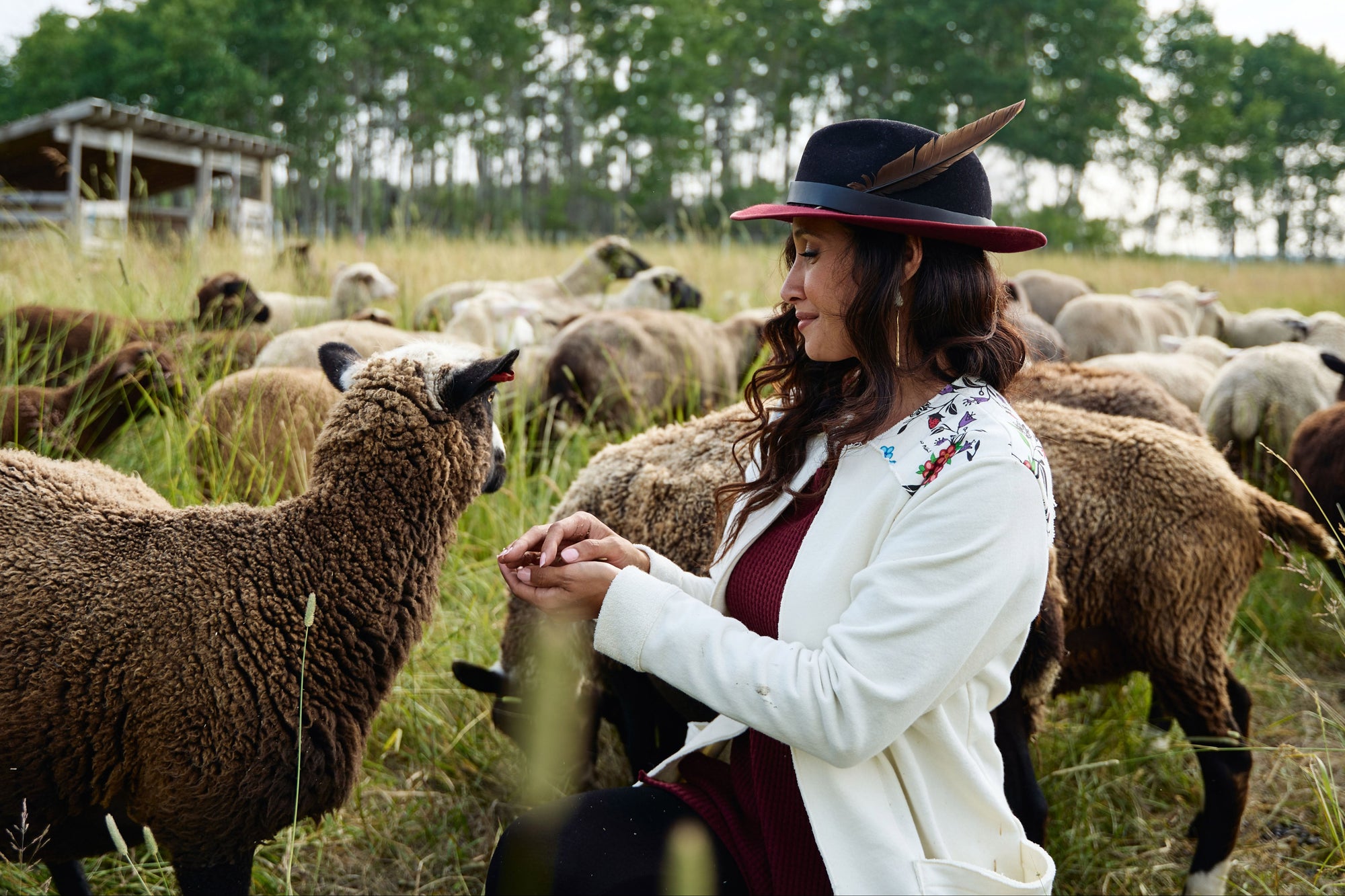 Woman in a field with sheep