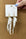 Parrot Earrings - White